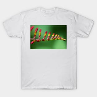 Lily T-Shirt